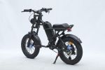 GT-0J2 New Design 16'' Mountain Electric Bicycle Out Door With Fat Tire Ebike