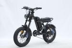 GT-0J2 New Design 16'' Mountain Electric Bicycle Out Door With Fat Tire Ebike